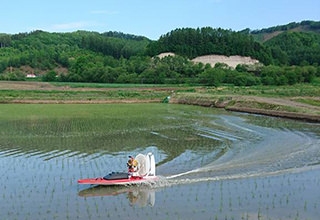 樅山農産の春の様子　写真3